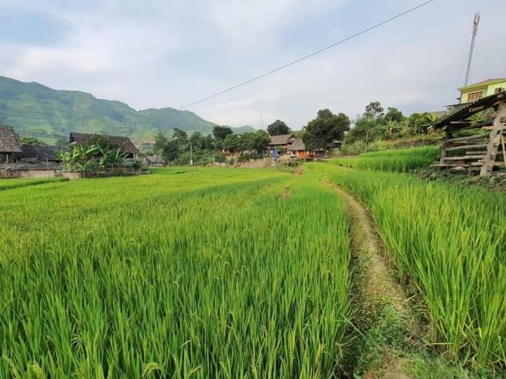 有机农场民宿 萨帕 外观 照片